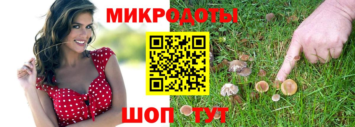 Севастополь  Галлюциногенные грибы прущие грибы  Вход с VPN  Галлюциногенные грибы прущие грибы 