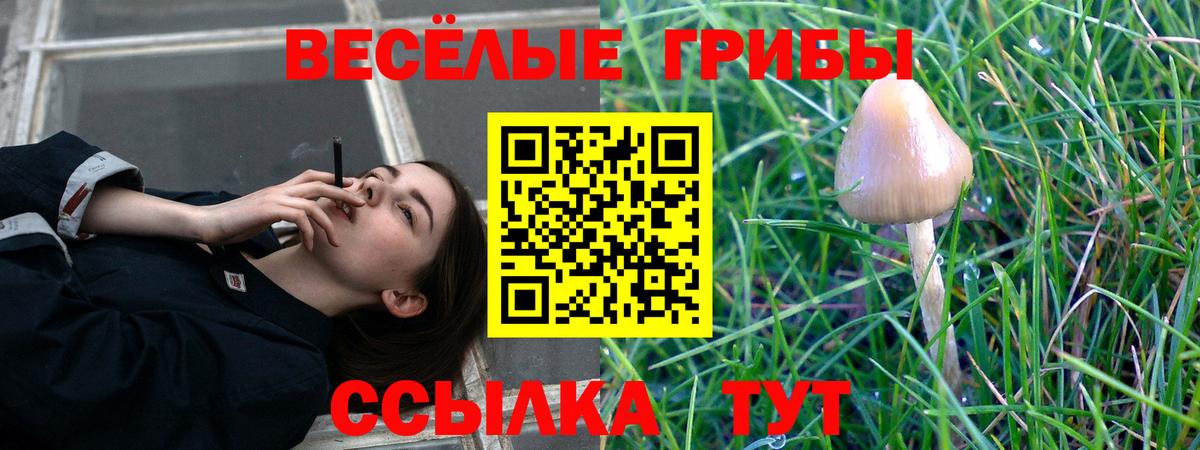 Галлюциногенные грибы прущие грибы Севастополь