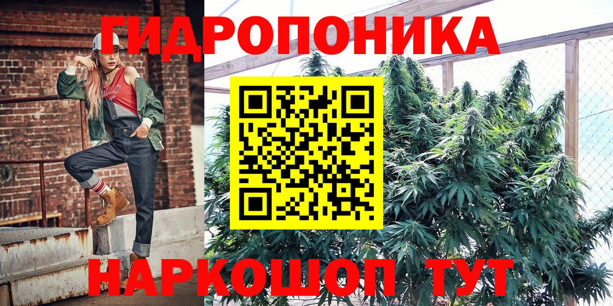 Бошки марихуана марихуана Севастополь
